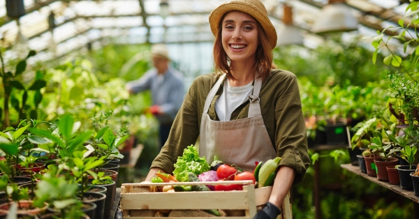 עתיד החקלאות האורבנית מדוע איכות המצע חשובה יותר מכמות המים 